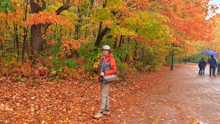 葉子紅得快跟外套顏色一樣了