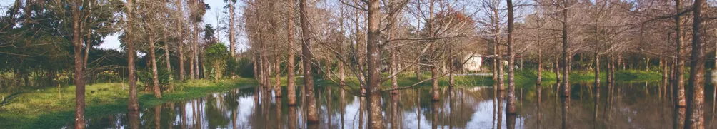 亂扯一通的老譚的沙龍