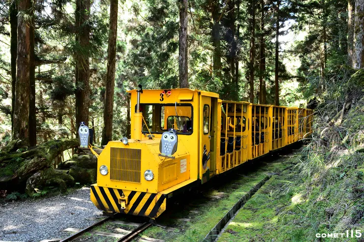 穿梭林間的蹦蹦車已成為太平山的標誌