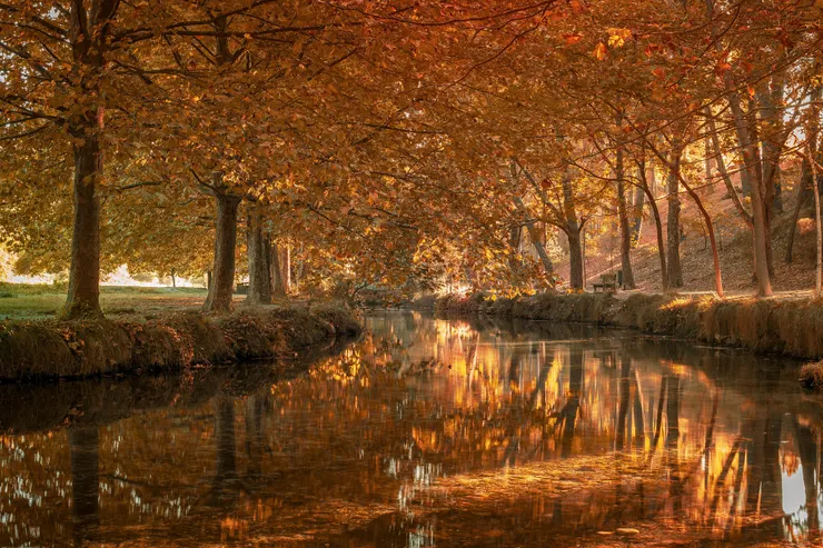 您正在哪一種生活裡奔跑或漫步？-圖片來源：Pixabay