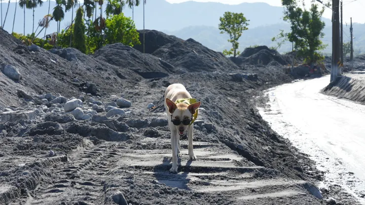災區吉祥物小老二