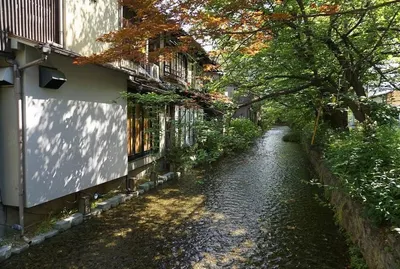 胡展誥諮商心理師