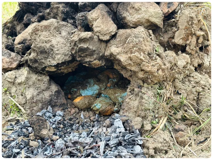 下方藍色是滾著泥塊的地瓜。