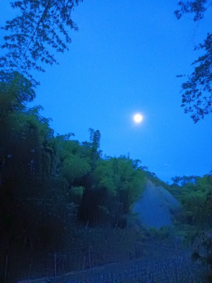 月光普照的馬頭山