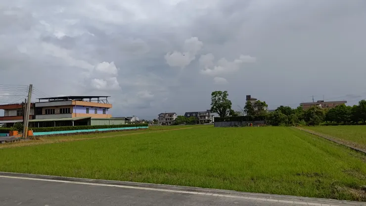 民宿面對的稻田