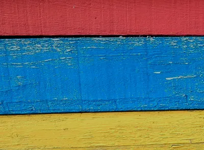 Sappho 一丘一壑也風流的沙龍