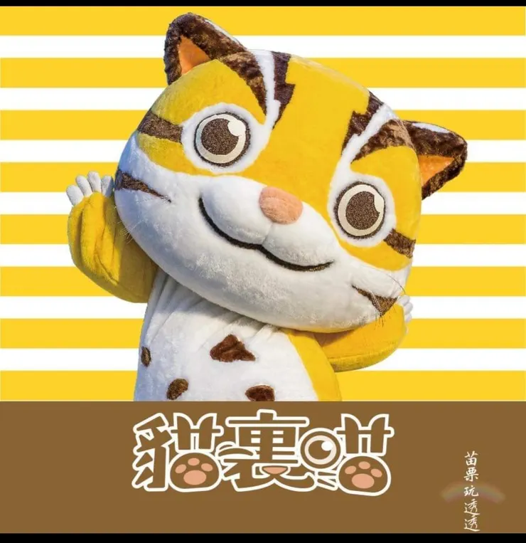 圖片來源:苗栗玩透透- 嗨,我是貓裏喵!🐱❤️🐯最萌最頑皮的石虎就是我~