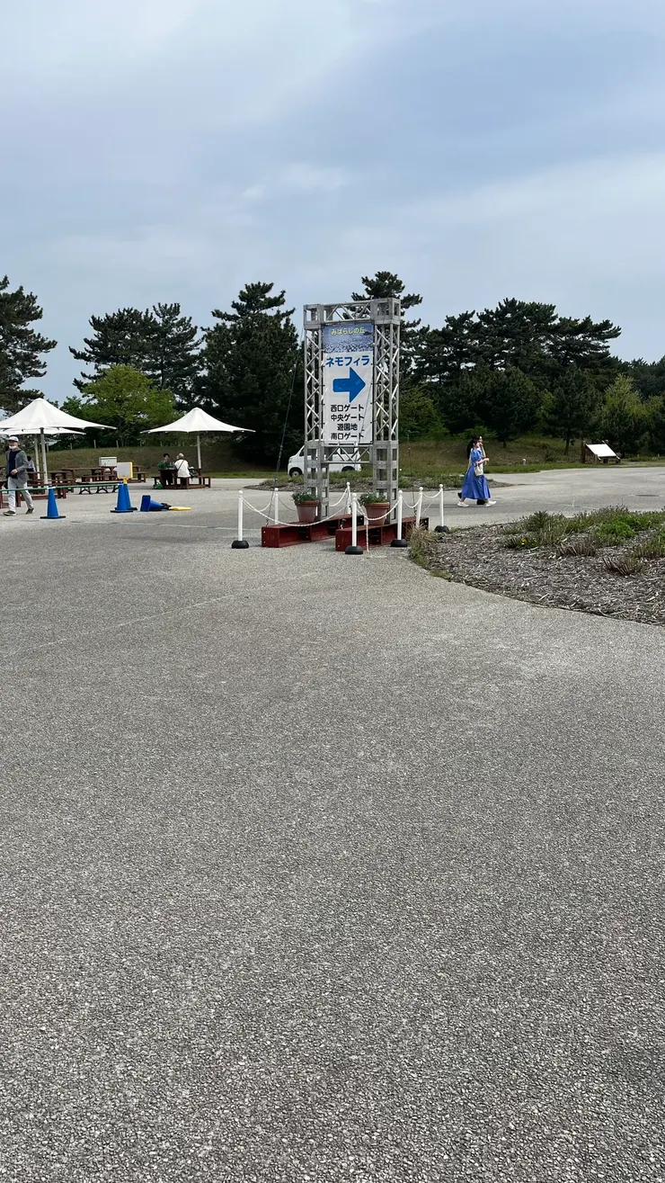 公園很大，迷路就很麻煩。