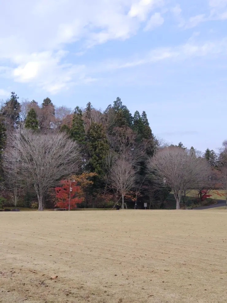 冬天未下雪前的景色依舊迷人