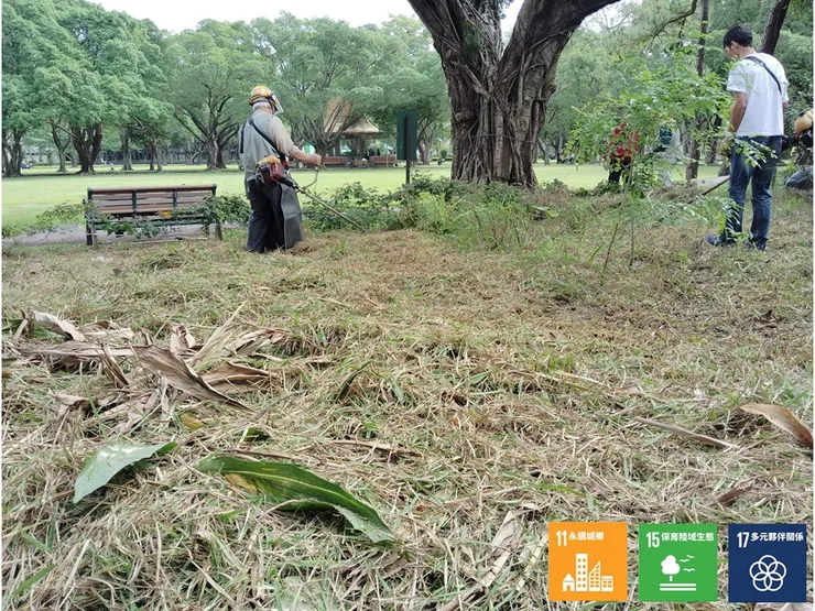 將割除的草堆就地鋪覆在裸地上,讓有機質善意地回歸土地