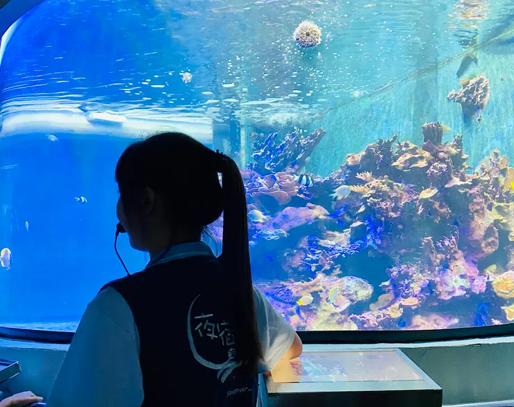🐠《夜宿海生館》導覽人員。|圖:閒人