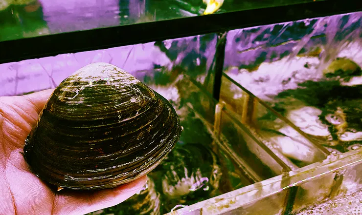 林口海鮮餐廳【拿靠生猛海鮮】媲美海港級料理，節慶聚會推薦餐廳