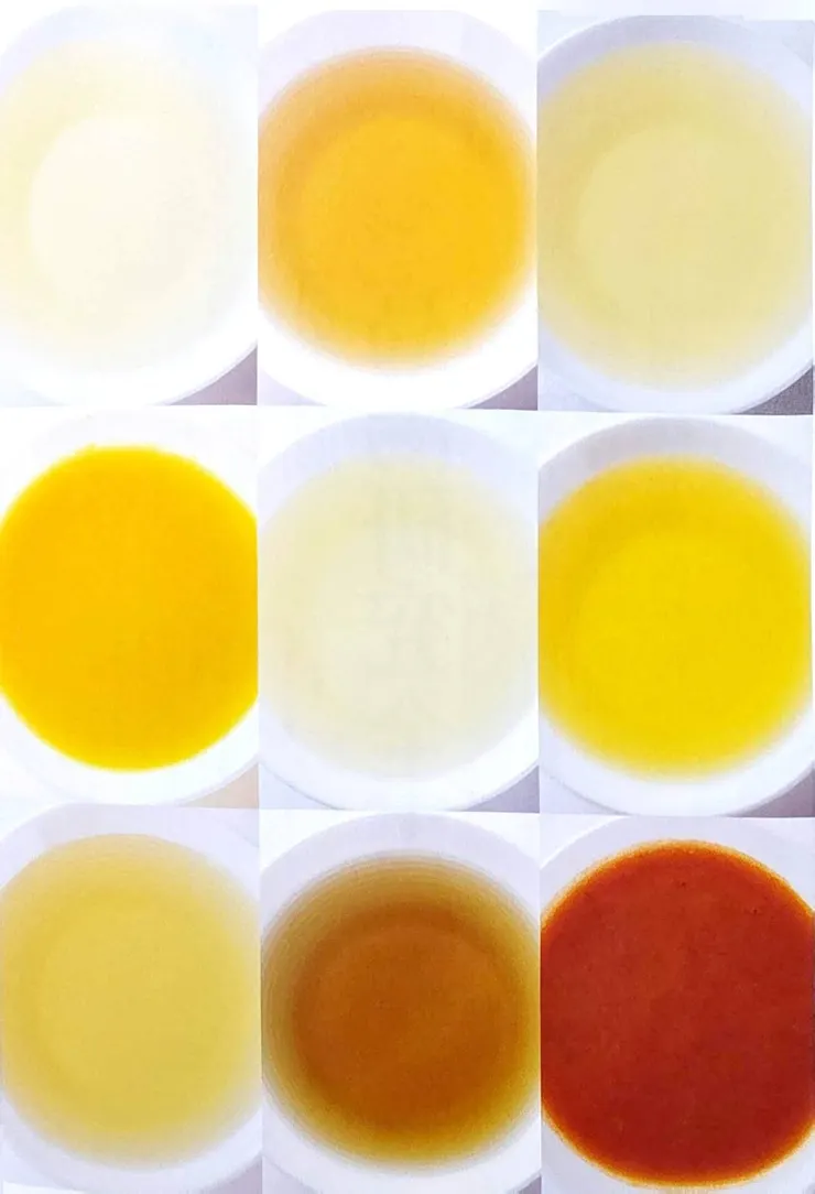 各式高湯清澈美麗的色澤 (小昕翻攝自書中第2頁)