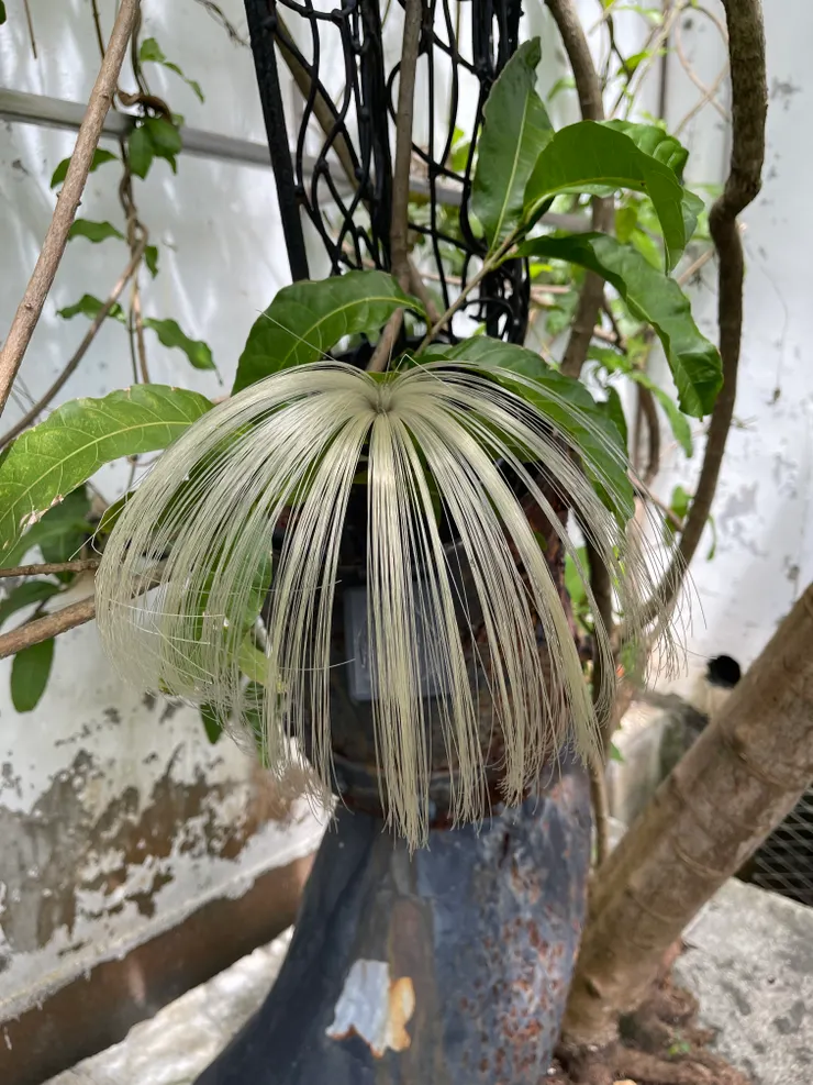 幫他畫個臉，開放晚上密室！想想就覺得刺激