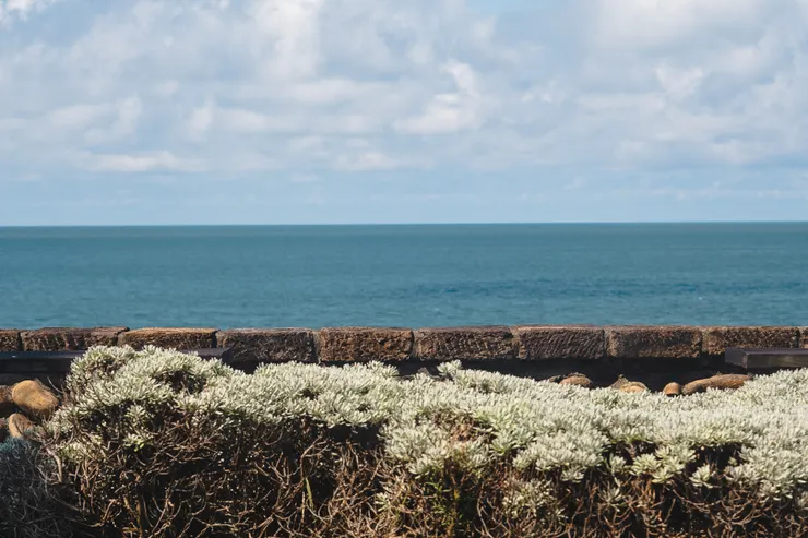 外面就是廣闊的海洋，很舒服！