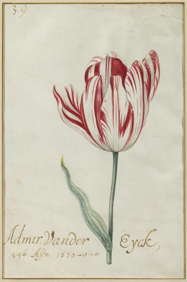 雅各布‧馬雷爾的作品《海軍上將艾克》（Admirael Vander Eyck），約1635~1640年