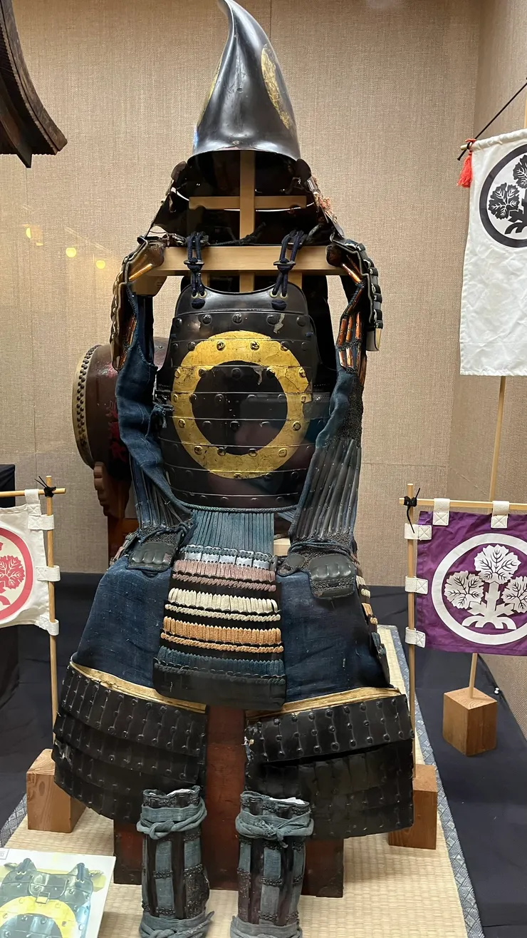 這個是日根野氏（高島城創建者日根野高吉）的家紋變形樣式。