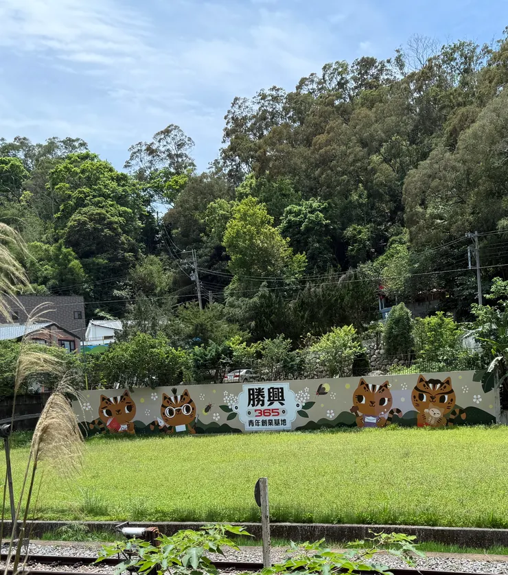 石虎