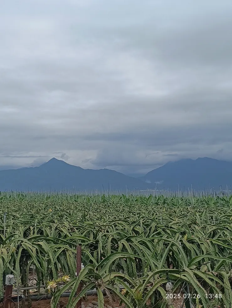 野曠雲低山與平，自拍攝