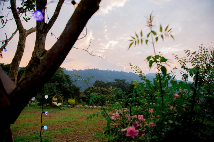 山中逐漸變暗,把小燈串打開