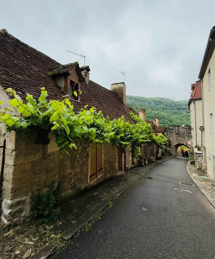 都是老房子，可是都很有味道