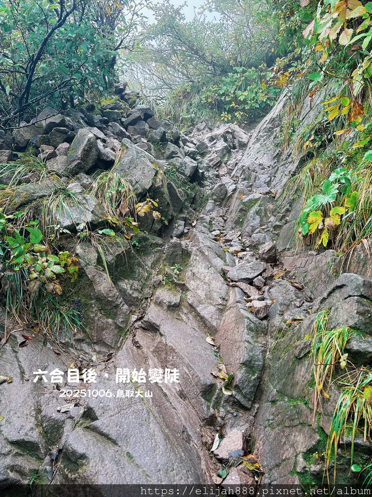 【2025初秋.鳥取県大山町登山趣】夏日登山口/海拔1709