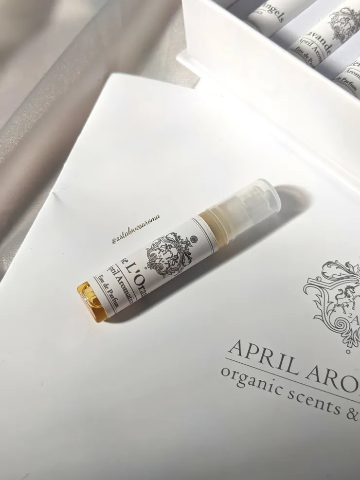 Rose L'Orange 橙瓣玫瑰