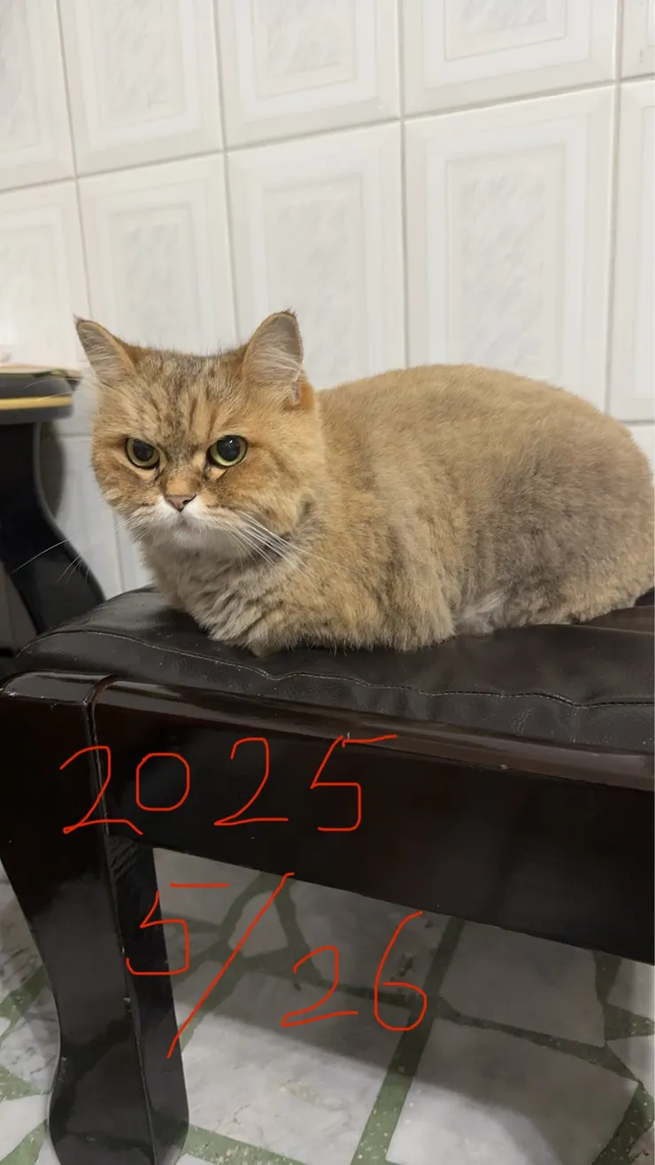 媽媽拍攝於 2025/5/26