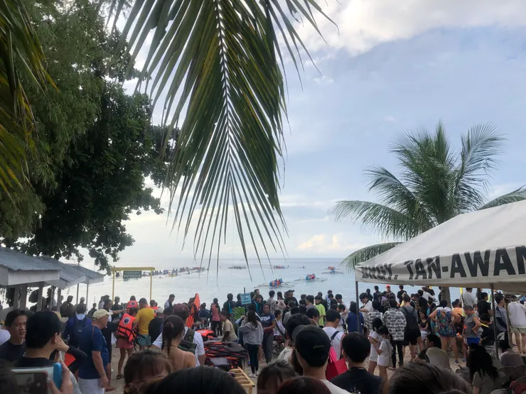 天亮了!準備要去看鯨鯊(⑉• •⑉)