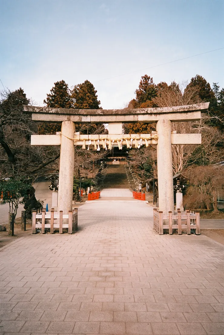 Nikon AF600 - RETO Maple100