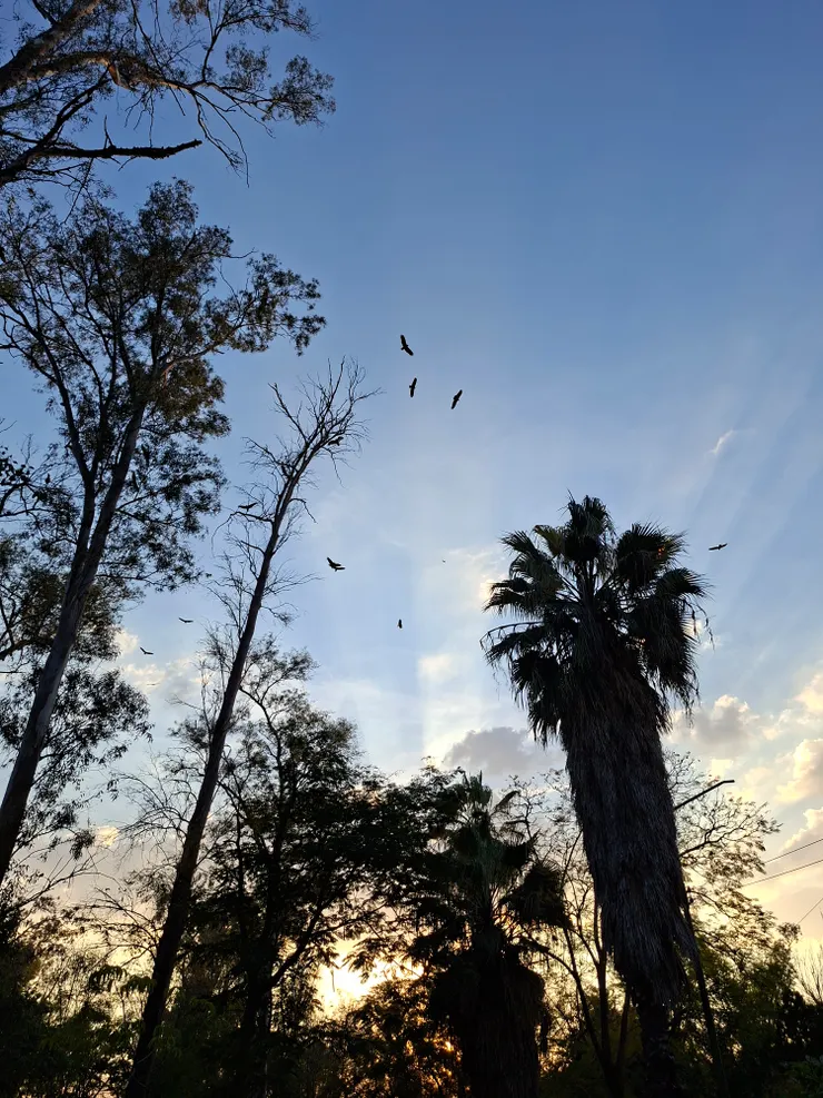 眼睛一睜一閉，又是一天過去
