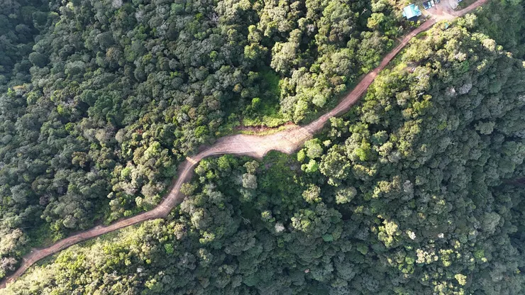 俯瞰叢林少女營地森林｜照片來源：傑哥