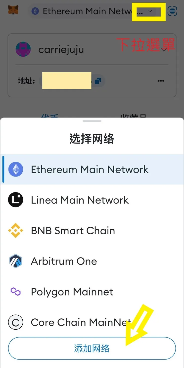 在錢包主頁，下拉選單，選擇添加網路