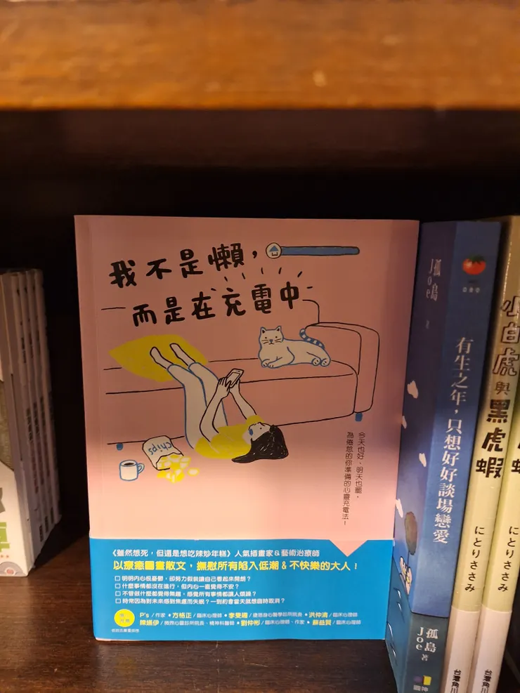 書櫃中新奇、有趣且治癒的書籍