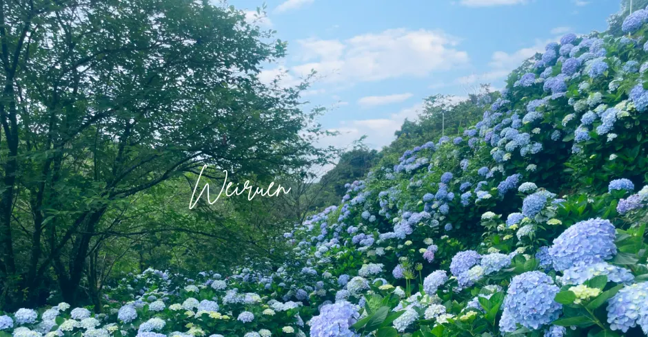 暖洋洋靈魂製造所