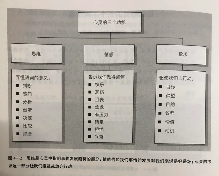 思維、情感、欲求任何一者都不斷地影響另外兩者，當其中一者出現，另外兩者也相應出現。