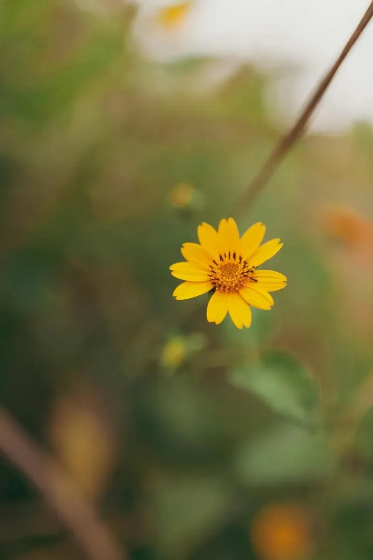 等回過頭來，才發現，你早已在光影中模糊了身影。