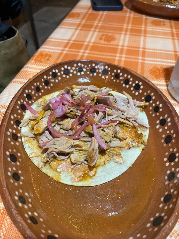 猶加敦燉肉Cochinita Pibil的taco