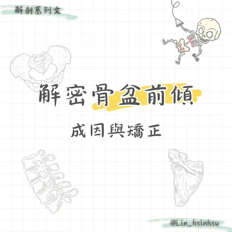 解密骨盆前傾