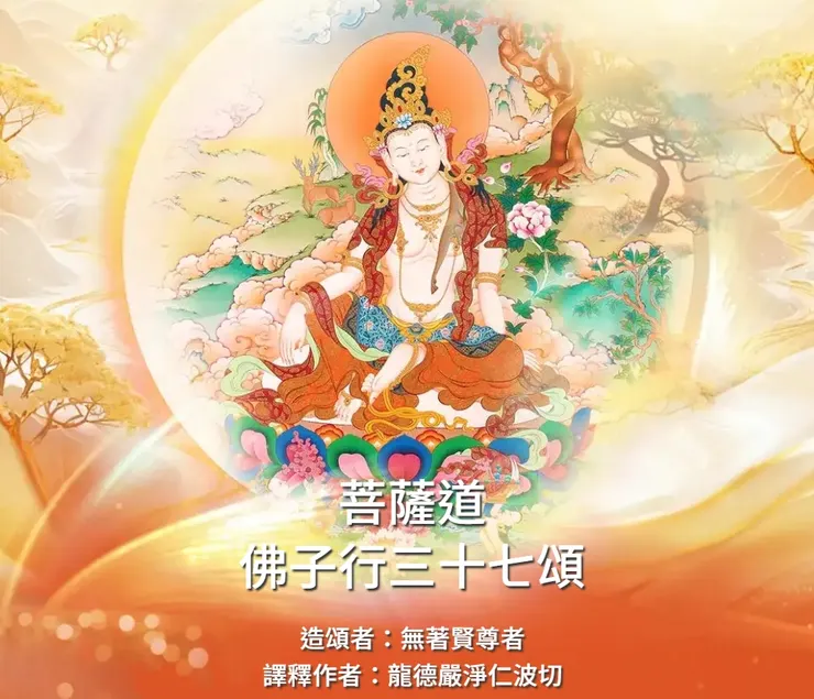 落實菩提心的修行寶典