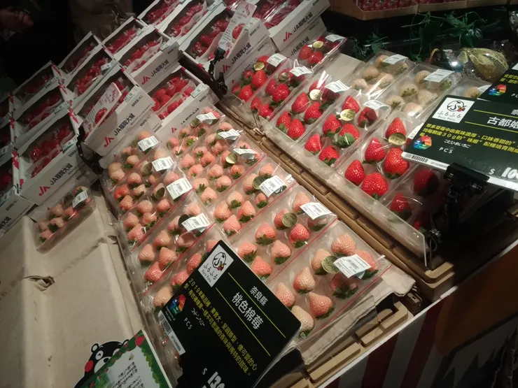 超級昂貴的日本進口水果