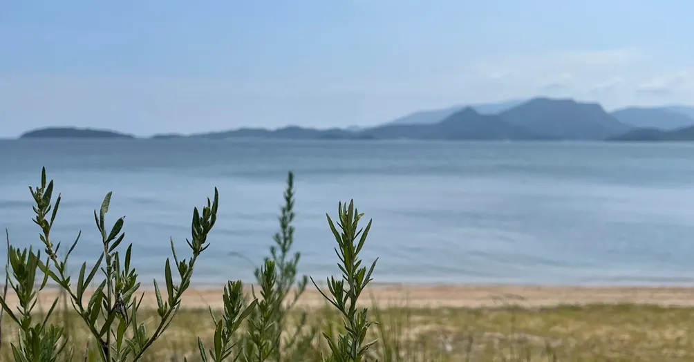 書流 | Read with the Flow