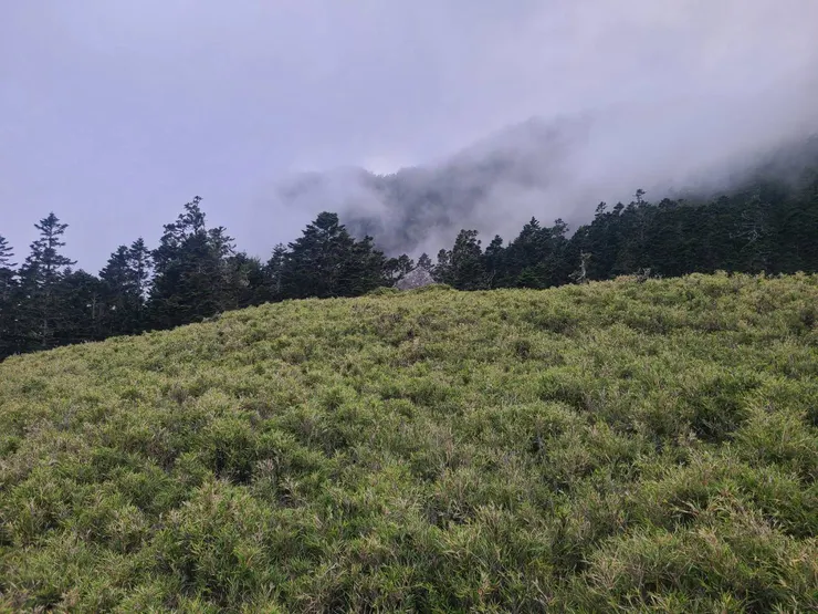 上源營地