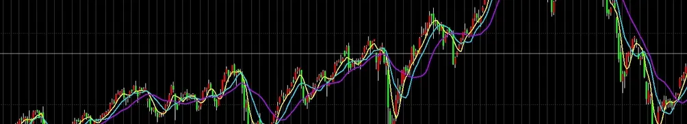 文子愛投資的沙龍