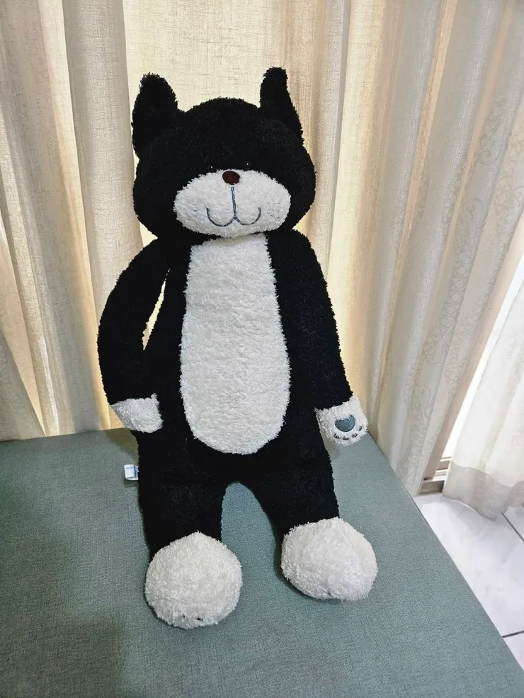 就是這隻帥氣的大貓，是女兒用她存下的零用錢幫我買下的。看著牠，我就想起她付錢時神氣的小大人模樣。