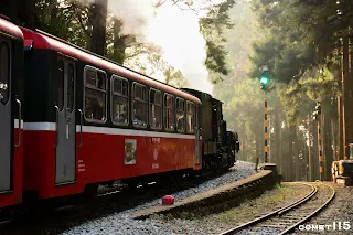 主題列車返回阿里山。右邊的路線是往嘉義的路線，畫面正好凸顯了折返式路線兩邊的高低差