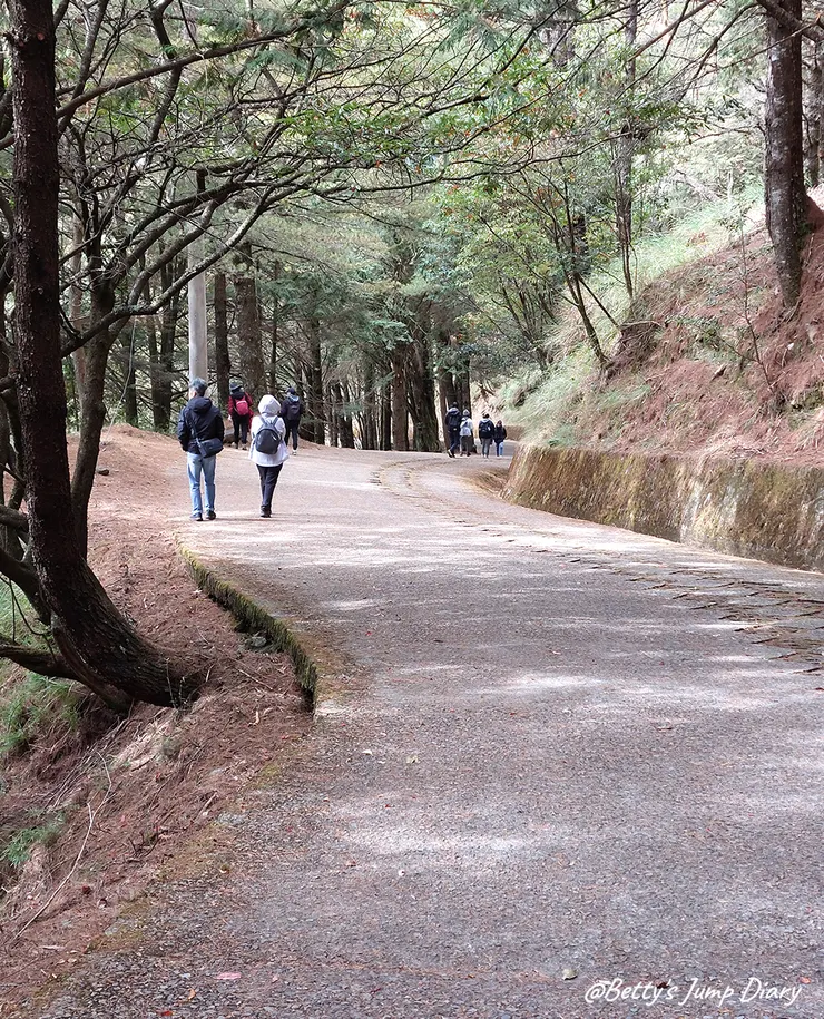 ▲台中「大雪山國家森林遊樂區」/圖片來源：Betty's Jump Diary