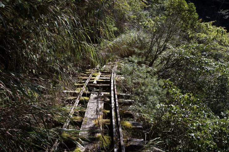 花蓮嵐山山地鐵道一角