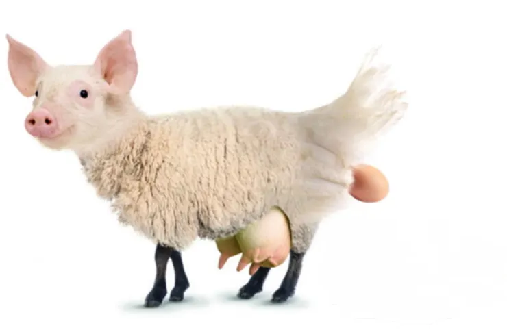 取材於網路照片