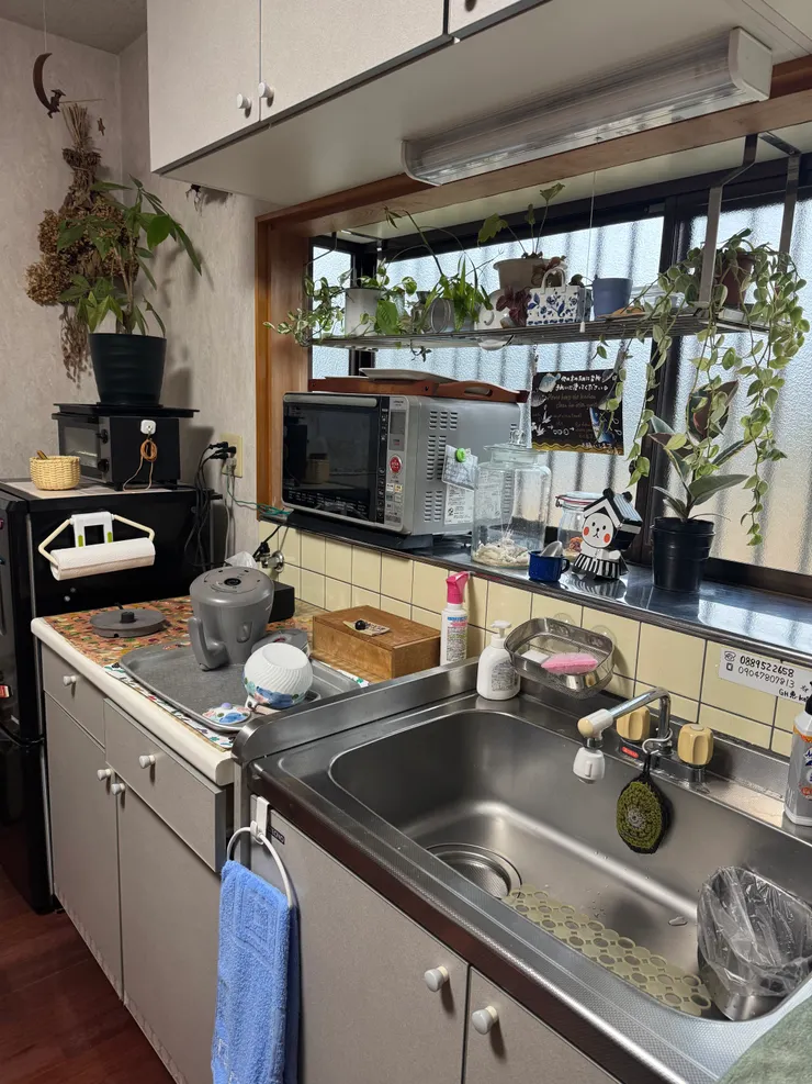 喜愛觀葉植物的人會懂